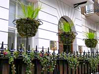 Hotel 82 London