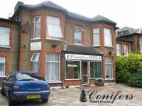 The Conifers Guest House.