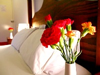 A Double Room at Tommy Miah's Raj Hotel London