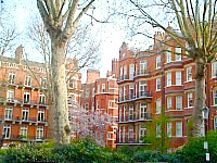 Barkston Gardens London