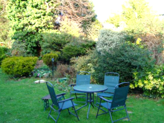 Relax in the garden at Best Inn Hotel