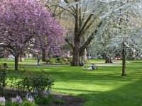 The beautiful view onto Southsides gardens